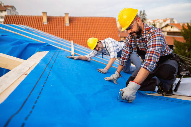 Best Roof Coating and Sealing  in Wheelersburg, OH